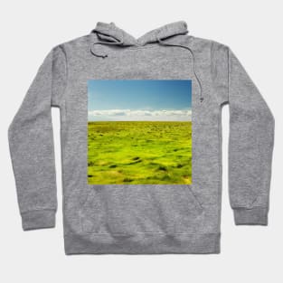 SCENERY 22 - Outdoor Grass Field Park Pathway Hoodie